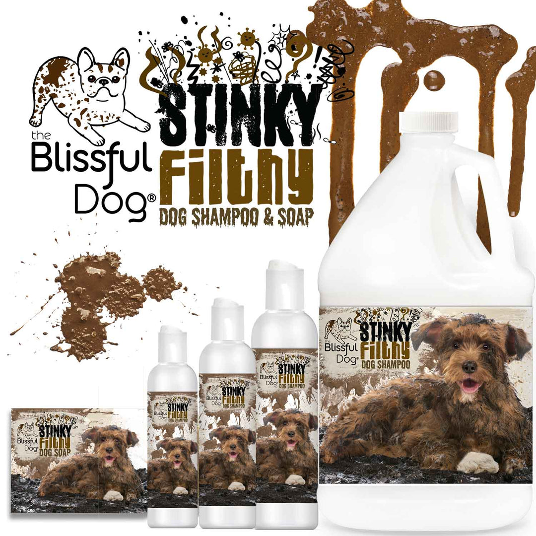 Stinky Filthy Dog Shampoo and Soap