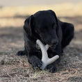 Load image into Gallery viewer, Ever Antler Nylon Chew Bone | Elk Antler Shaped Dog Toy for Aggressive Chewers | SodaPup by SodaPup/True Dogs, LLC
