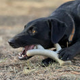 Load image into Gallery viewer, Ever Antler Nylon Chew Bone | Elk Antler Shaped Dog Toy for Aggressive Chewers | SodaPup by SodaPup/True Dogs, LLC
