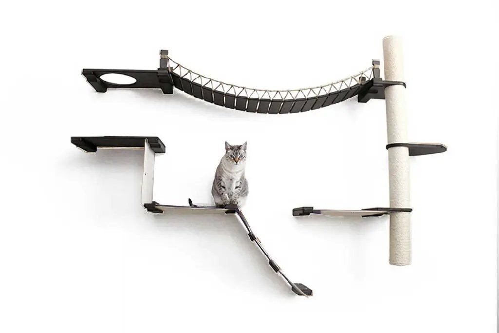 The Expedition Cat Jungle Gym Wall System by Catastrophic Creations, black/beige wall-mounted cat condo.