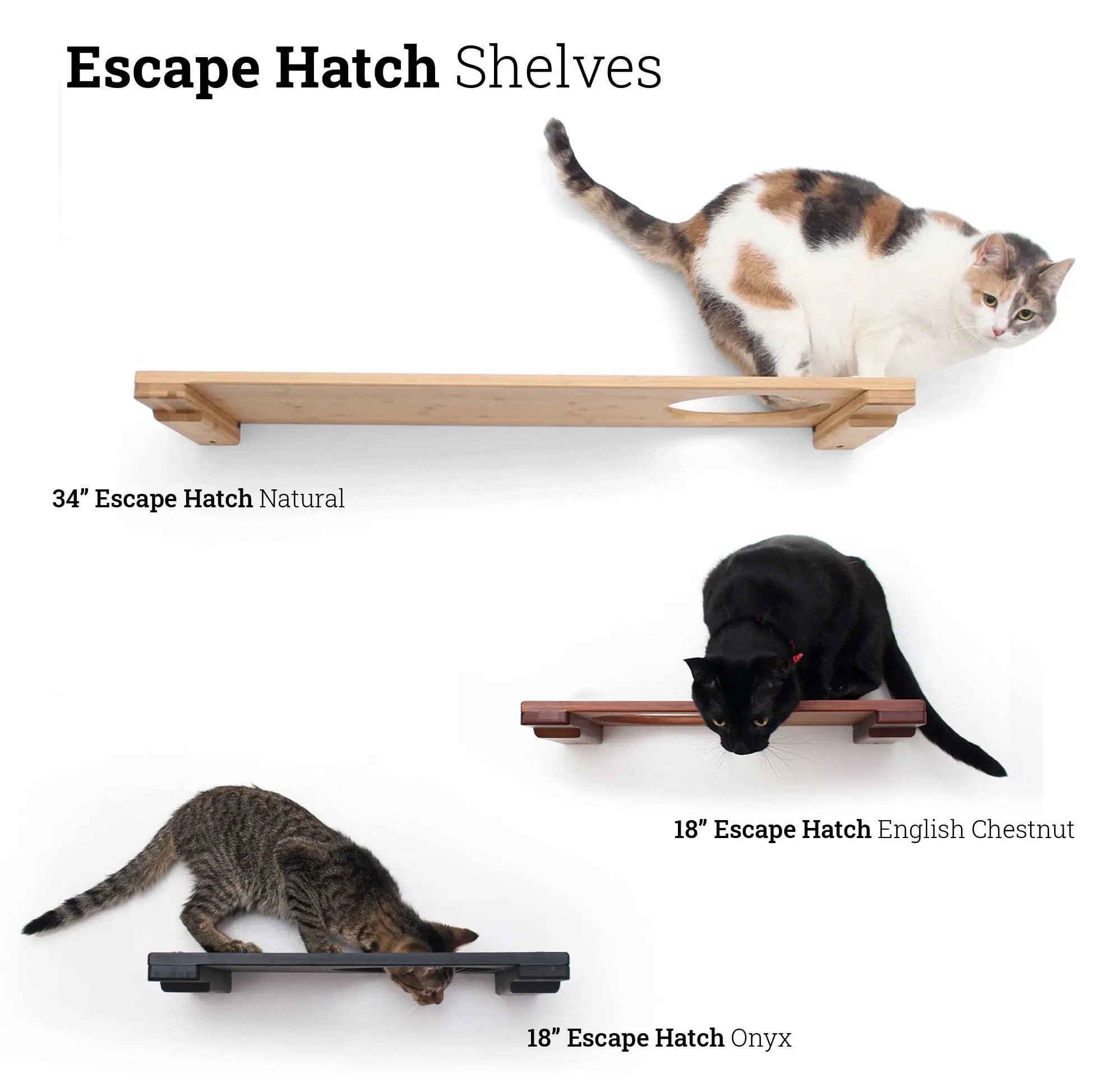 Wall-mounted cat shelf set; four Escape Hatch shelves in natural, English Chestnut, and Onyx finishes.