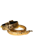 Bild in Galerie-Betrachter laden, Glam Gold Italian Leather Collar Set by Allysa Payne Beverly Hills
