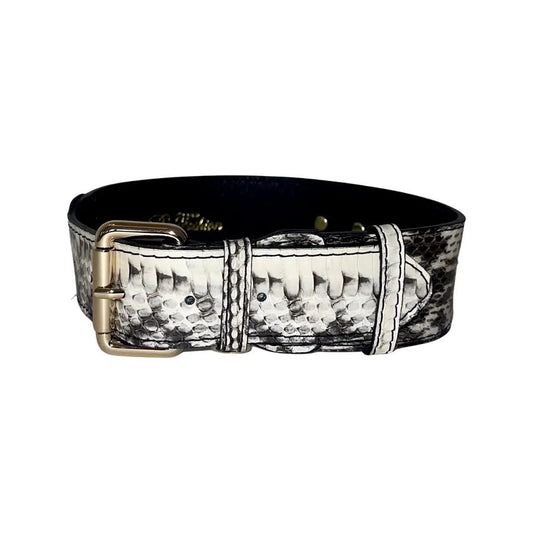 White & Black Classic Snake Collar by Allysa Payne Beverly Hills; snake-pattern leather dog collar with gold buckle.