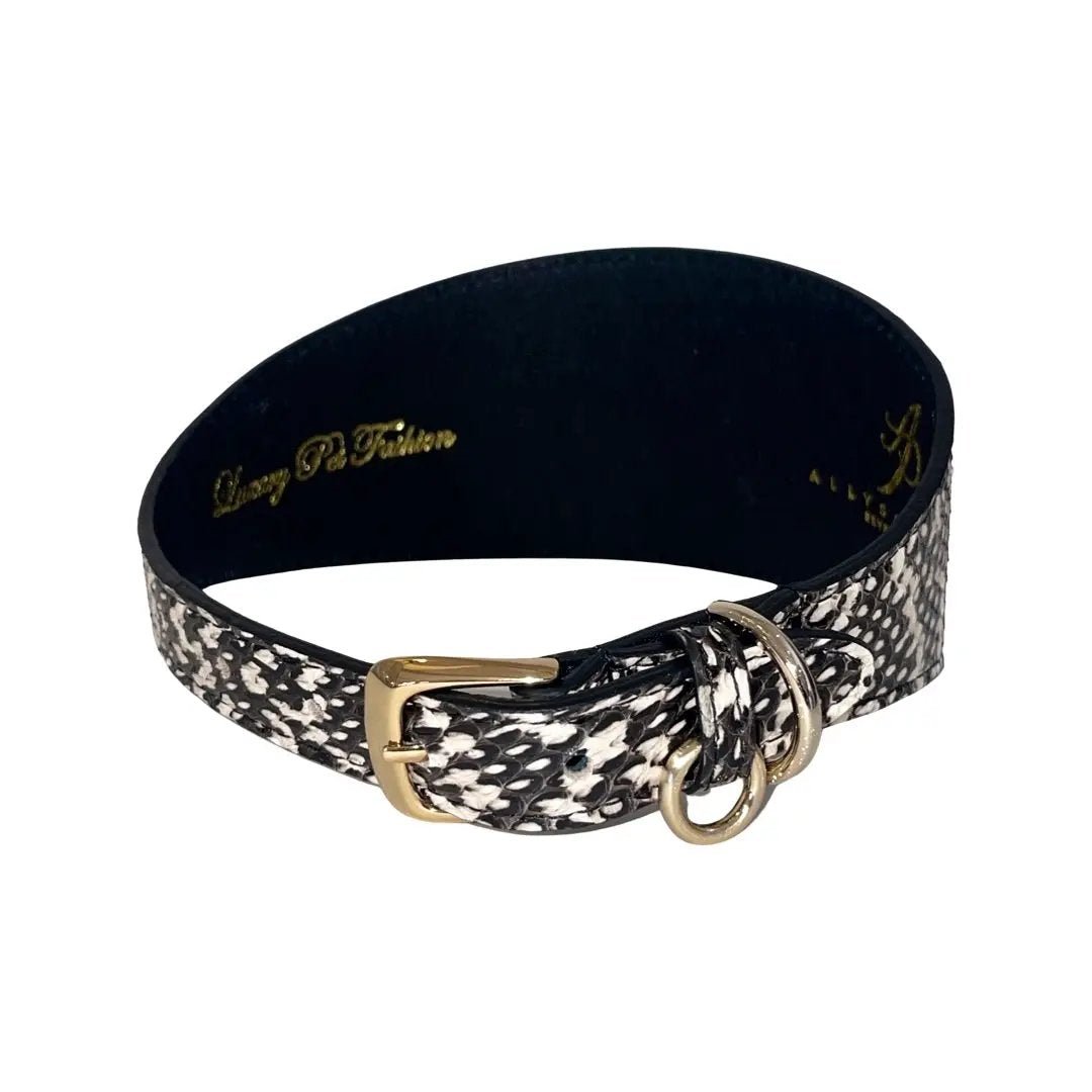 Elegant Snake Collar 3 In Silver Hardware Black White by Allysa Payne Beverly Hills
