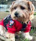 Carica l'immagine nel visualizzatore della galleria, Mini American Dog Crossbones Shield Morale Patch Woven Hook Fastener Backing Fits Tactical Vest Harness and Collection by kiloninerpets
