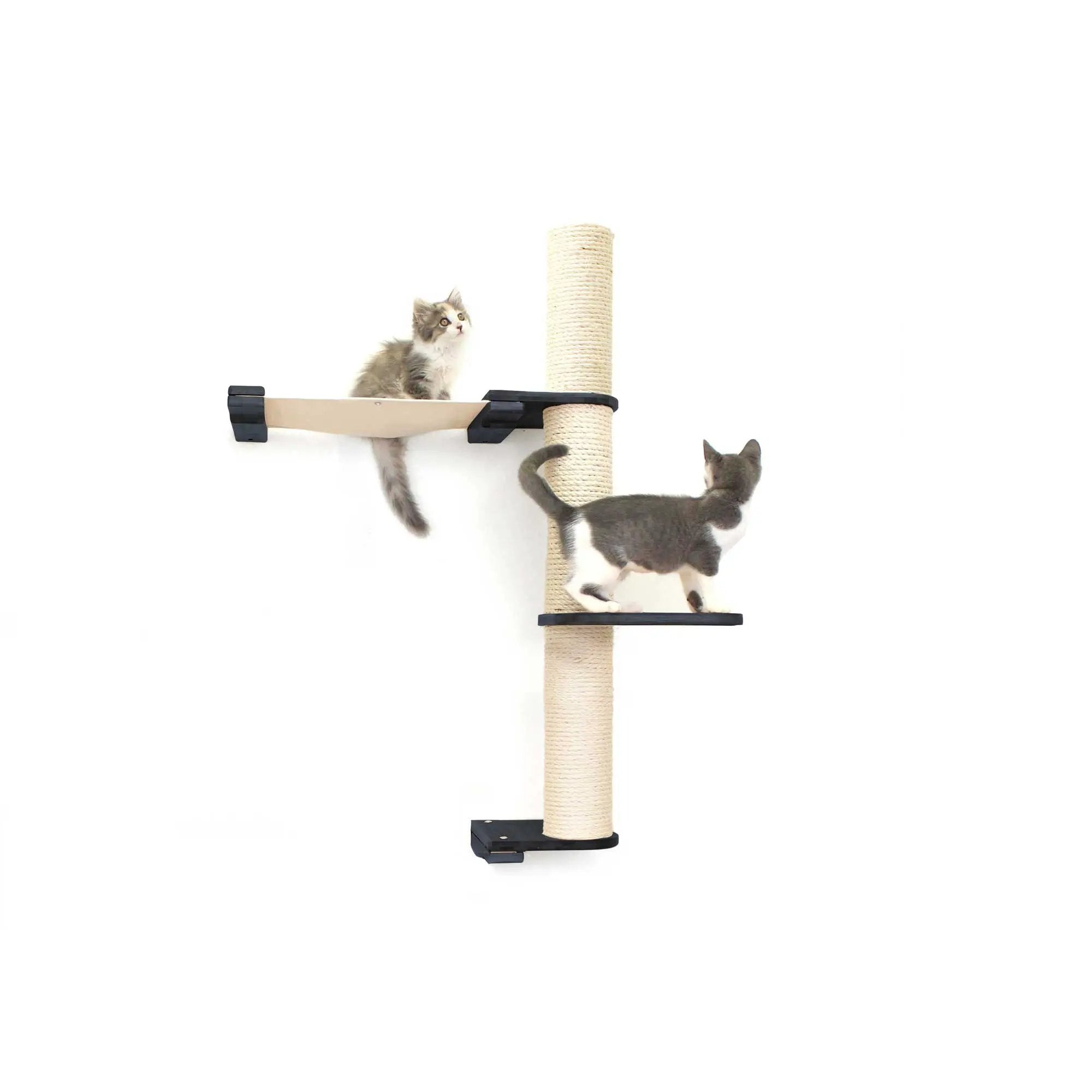 The Crow's Nest wall cat scratcher with hammock by Catastrophic Creations; tall sisal post with black platforms