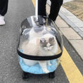 Carica l'immagine nel visualizzatore della galleria, Transparent capsule pet travel trolley carrier with wheels, cat inside on blue cushion.
