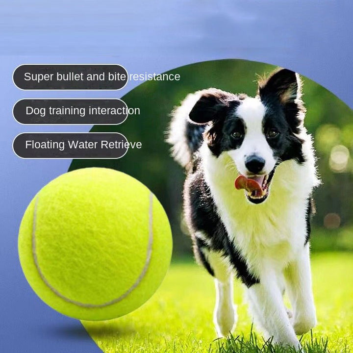 Rubber Tennis Ball Dog Toy – 2.4 in – photo 3