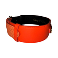 Load image into Gallery viewer, The Perfect Orange Classic Collar, orange leather with a textured side panel; Allysa Payne Beverly Hills
