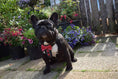 Carica l'immagine nel visualizzatore della galleria, Bestia Dog Gear Bowtie Leather Harness Handmade Black Small Medium by Bestia Dog Gear
