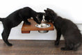 Carica l'immagine nel visualizzatore della galleria, Wall-mounted wooden cat feeding shelf with two black kittens drinking from stainless steel bowls
