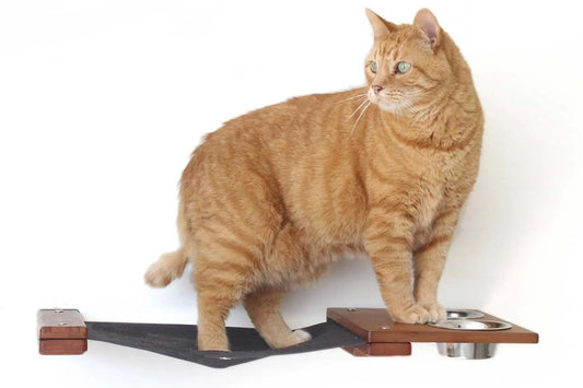 Dog Proof Cat Feeder - Wall-Mounted - Raised, wooden platform with metal bowls, orange tabby cat on it.