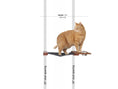 Charger l'image dans la visionneuse de la galerie, Dog Proof Cat Feeder on a wall-mounted raised platform with gray frame and metal bowl, cat standing on the platform.
