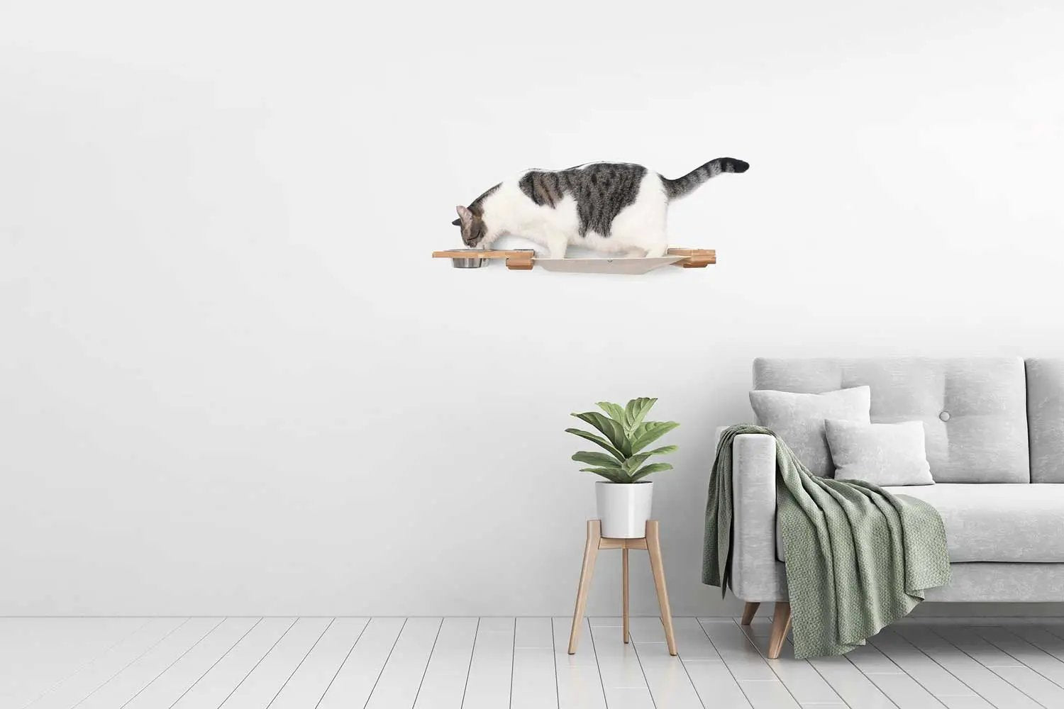 Cat Hammock wall-mounted raised feeder by Catastrophic Creations with white tray, natural wood supports, and a cat atop