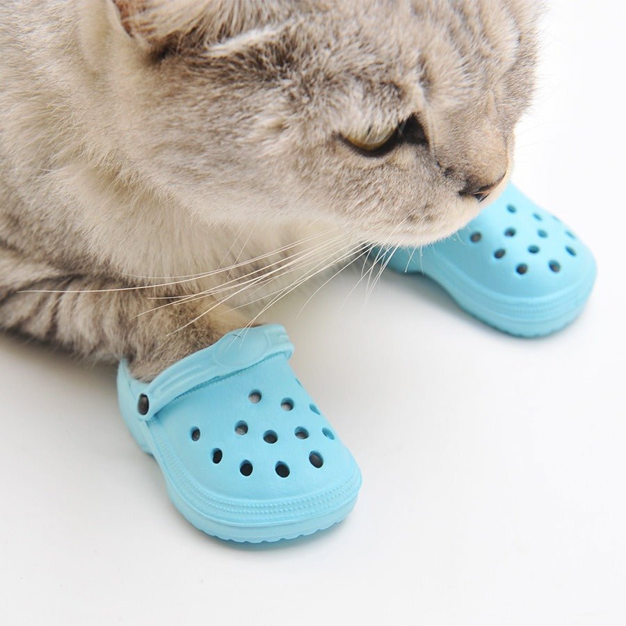 EVA Pet Clogs – Cats &amp; Small Dogs – photo 6