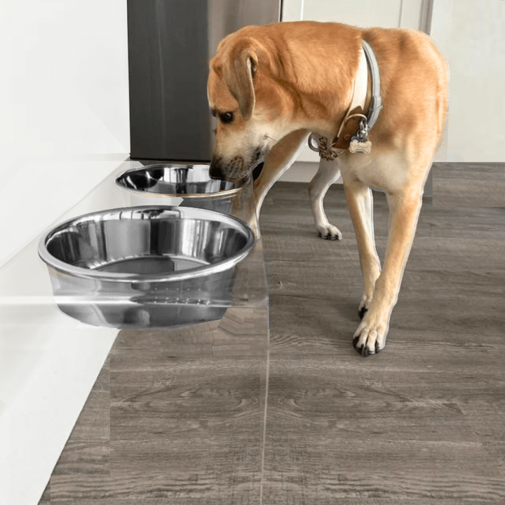 Hiddin Clear Acrylic Double Feeder with Silver Bowls – 12 in High