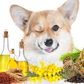 Load image into Gallery viewer, First Sniff Dog Cologne - Your First Sniff Stays on My Mind
