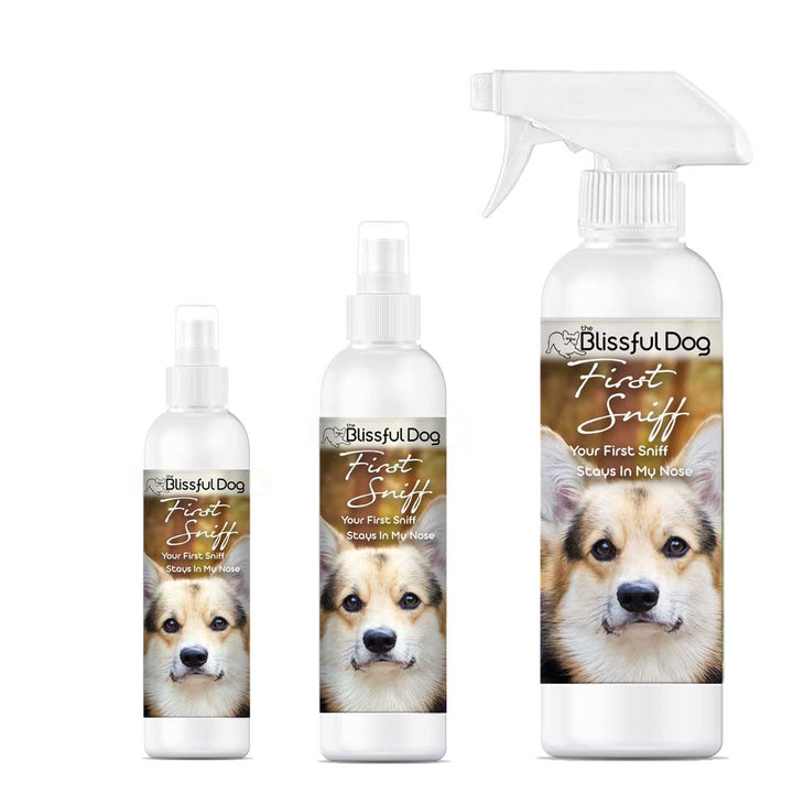 First Sniff Dog Cologne