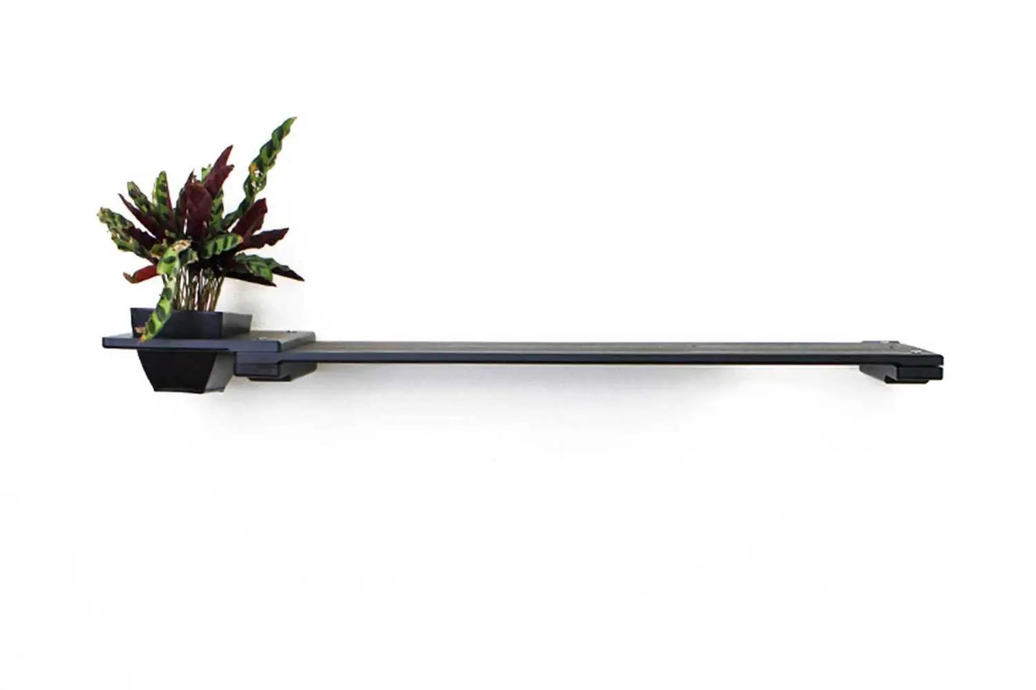Cat Plant Stand for Wall by Catastrophic Creations, dark wall-mounted cat shelf with planter.