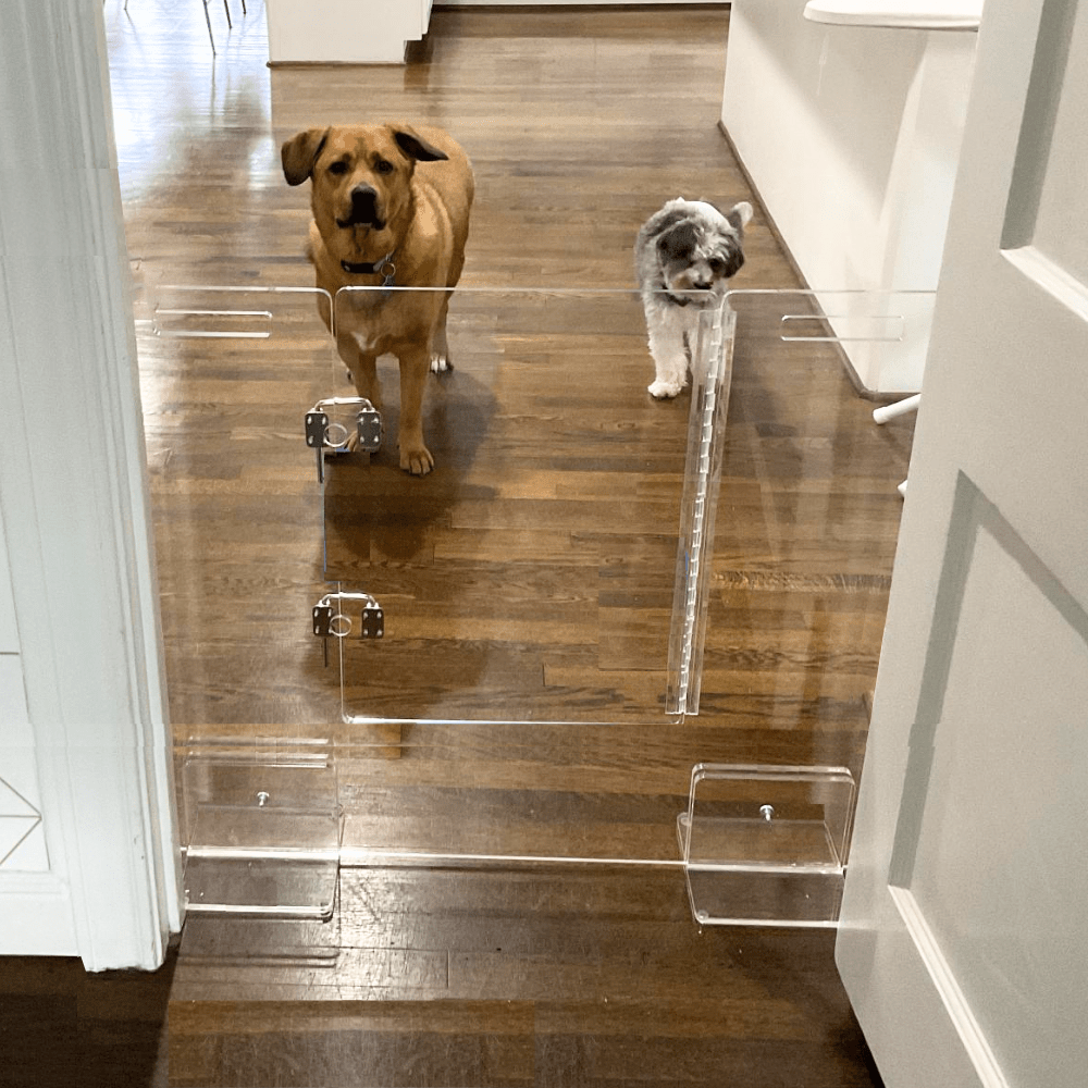 Hiddin Clear Acrylic Pet Gate with Door – Freestanding, 30 in High