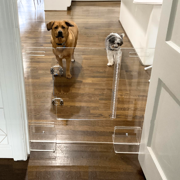 Hiddin Clear Acrylic Pet Gate with Door – Freestanding, 30 in High