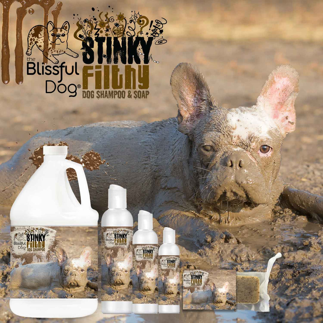 Stinky Filthy Dog Shampoo and Soap, view 3