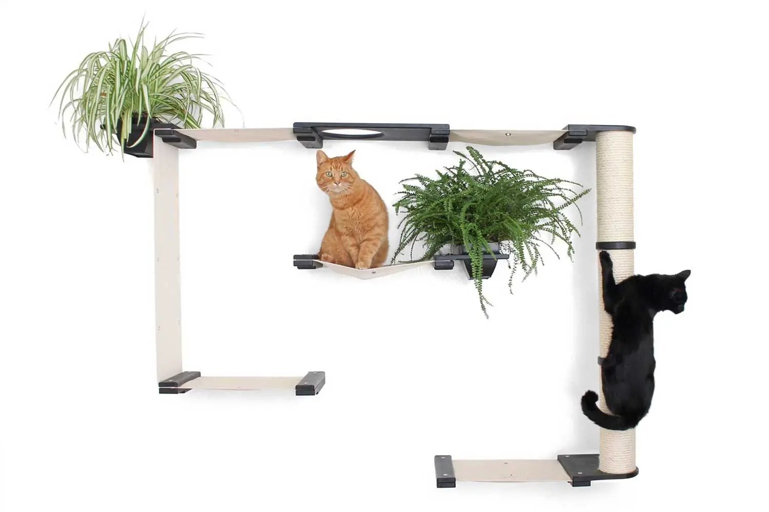 The Gardens Cat Condo by Catastrophic Creations; modern wall-mounted cat tree with plants