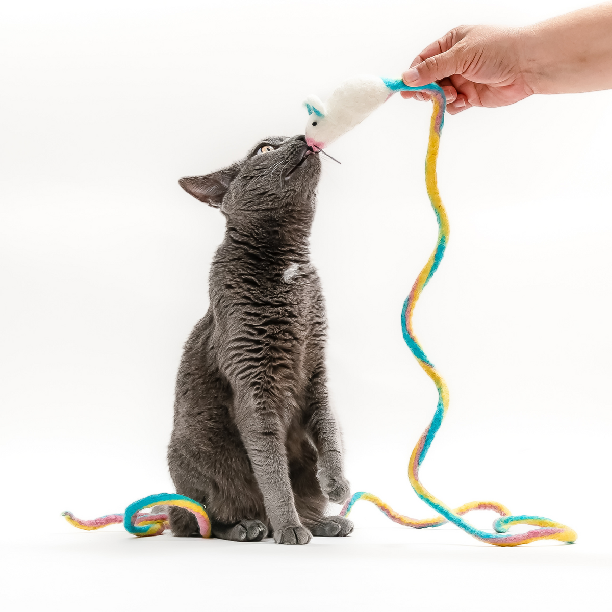 Cat toy Catch a Mouse by the Tail: a gray cat reaching for a white wool mouse with blue ears and a rainbow tail.