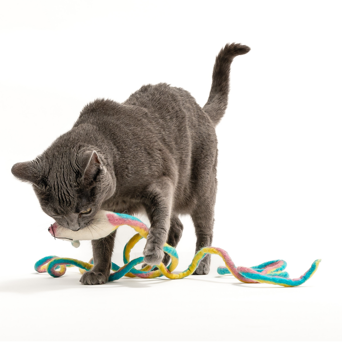 Catch a Mouse by the Tail - Wool Cat Toy, gray plush cat with colorful rope