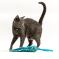 Load image into Gallery viewer, Ink Floyd wool octopus cat toy by Cat in the Box LLC; blue plush octopus and gray cat.
