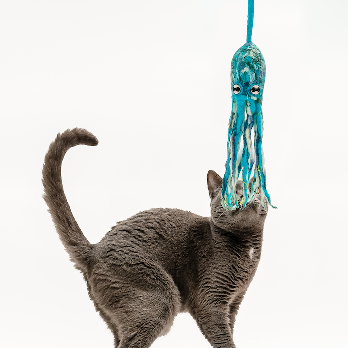 Ink Floyd wool octopus cat toy, blue and teal yarn tentacles