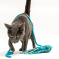 Load image into Gallery viewer, Ink Floyd wool octopus cat toy in teal-blue with plush tentacles for cats.
