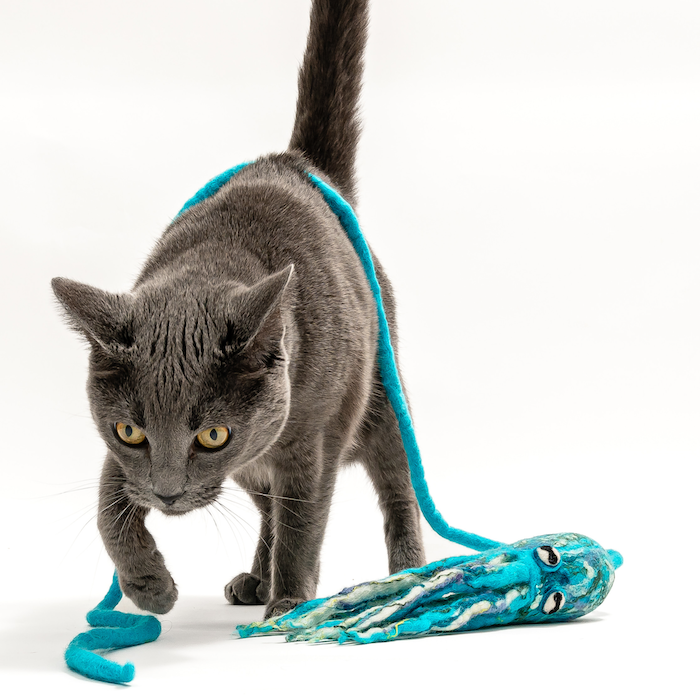 Ink Floyd wool octopus cat toy in teal-blue with plush tentacles for cats.