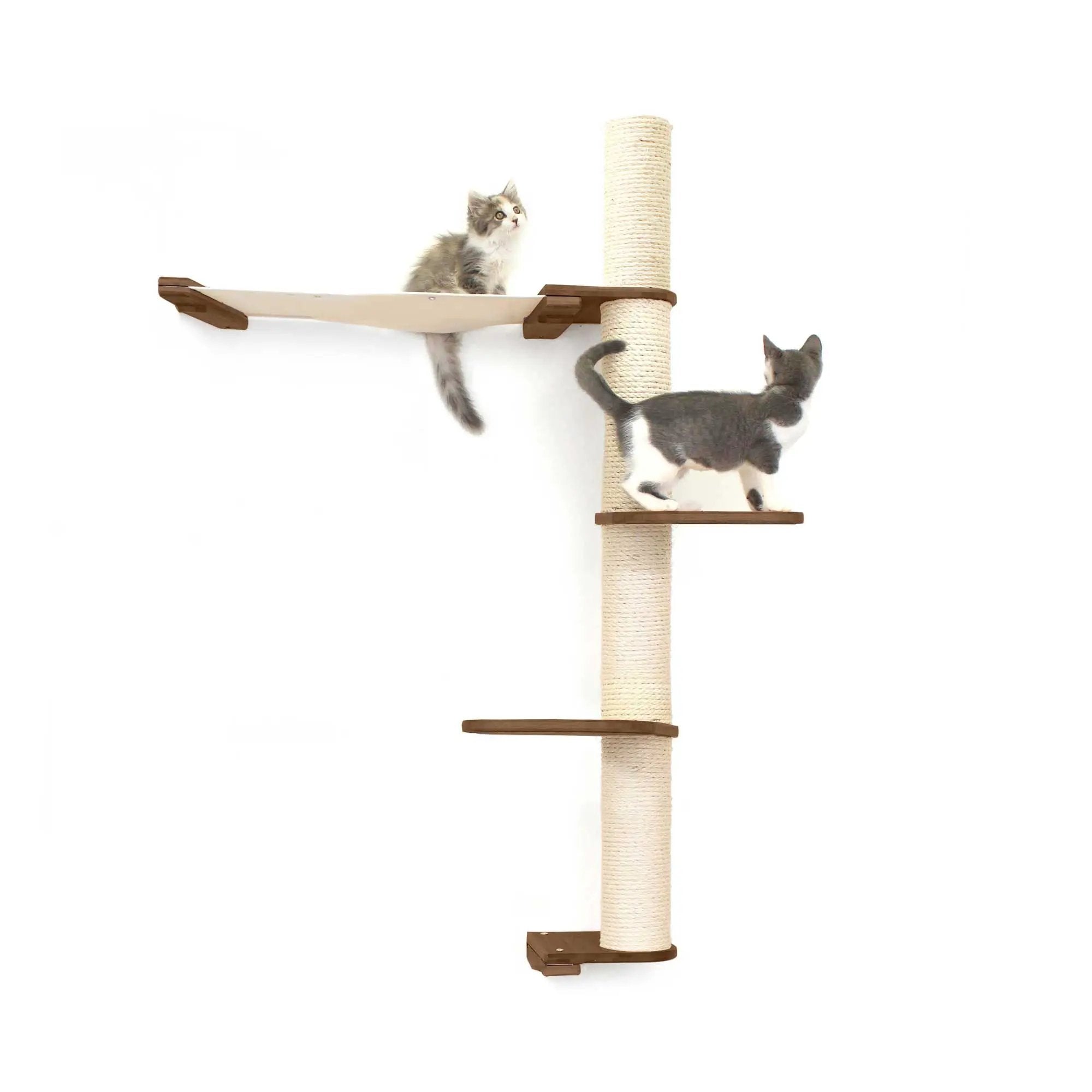 The Crow's Nest wall cat condo by Catastrophic Creations; beige sisal rope post with hammock and platforms, two cats.