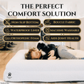 Load image into Gallery viewer, Luxury orthopedic dog bed in white plush fabric, medium size with Wasatch Pup logo; dog cuddling on it
