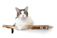 Charger l'image dans la visionneuse de la galerie, Cat Hammock wall-mounted raised cat furniture with wood frame and metal bowls
