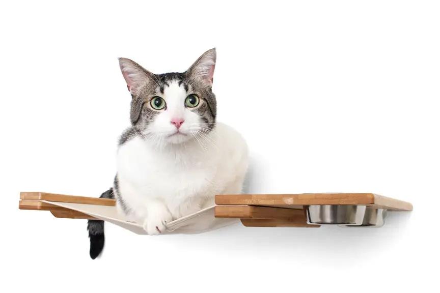 Cat Hammock wall-mounted raised cat furniture with wood frame and metal bowls
