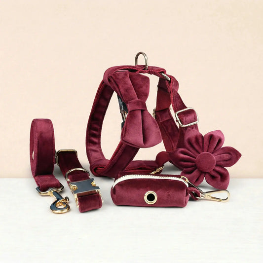 Red Wine Velvet Dog Harness Collar Leash Set Elegant Walking Wear by DDPaws