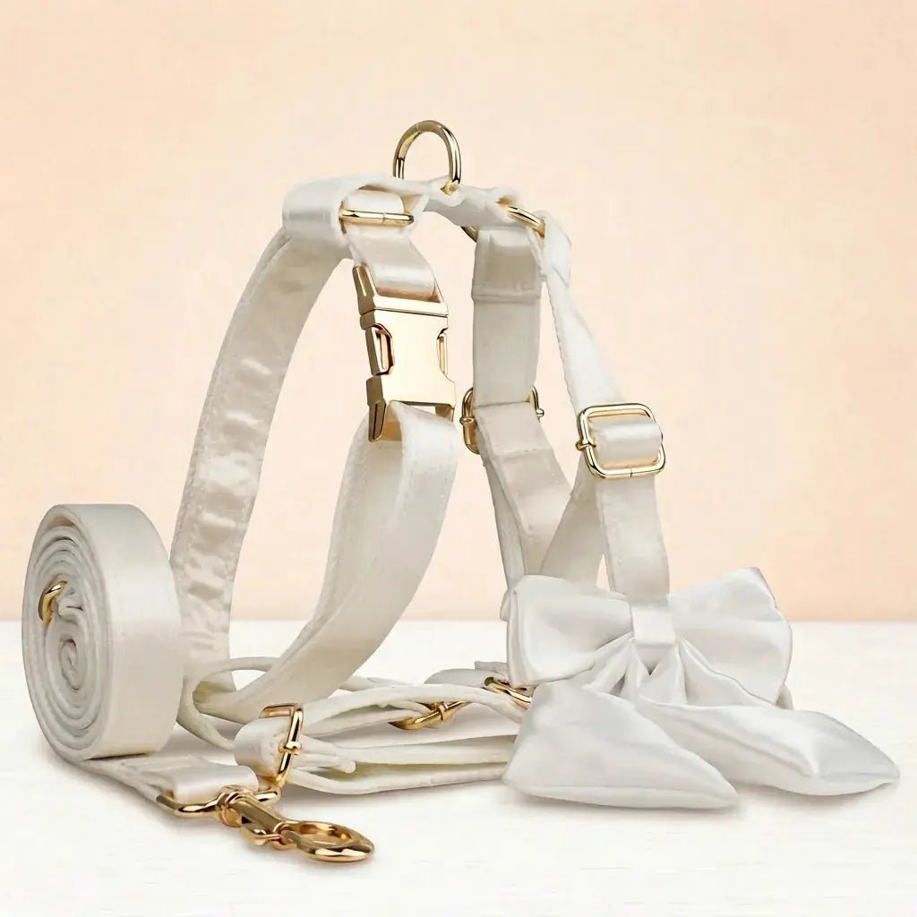 Wedding Pure White Satin Set by DDPaws