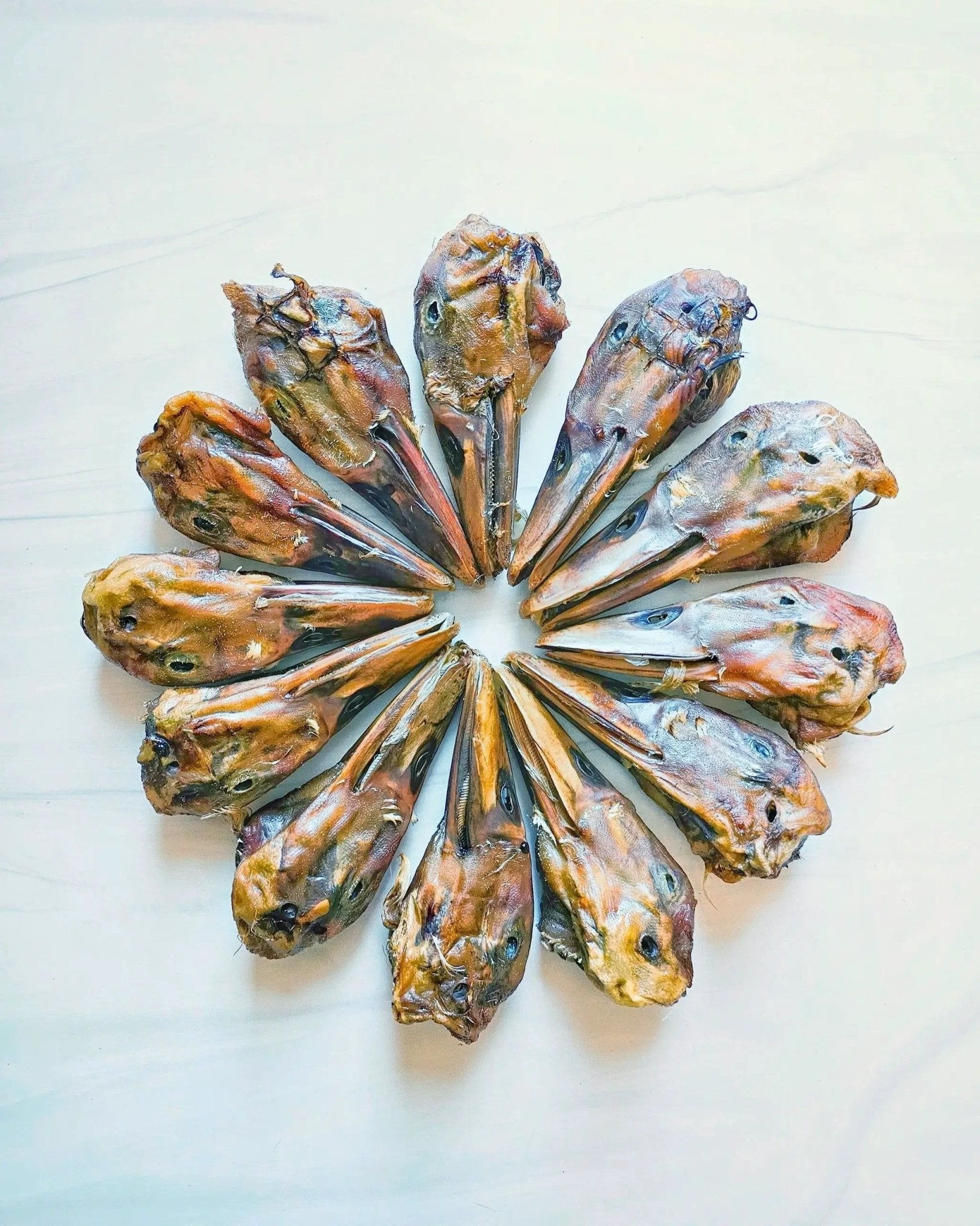 Duck Heads (ABF) by Naked Beasts, dried duck heads arranged in a circular display