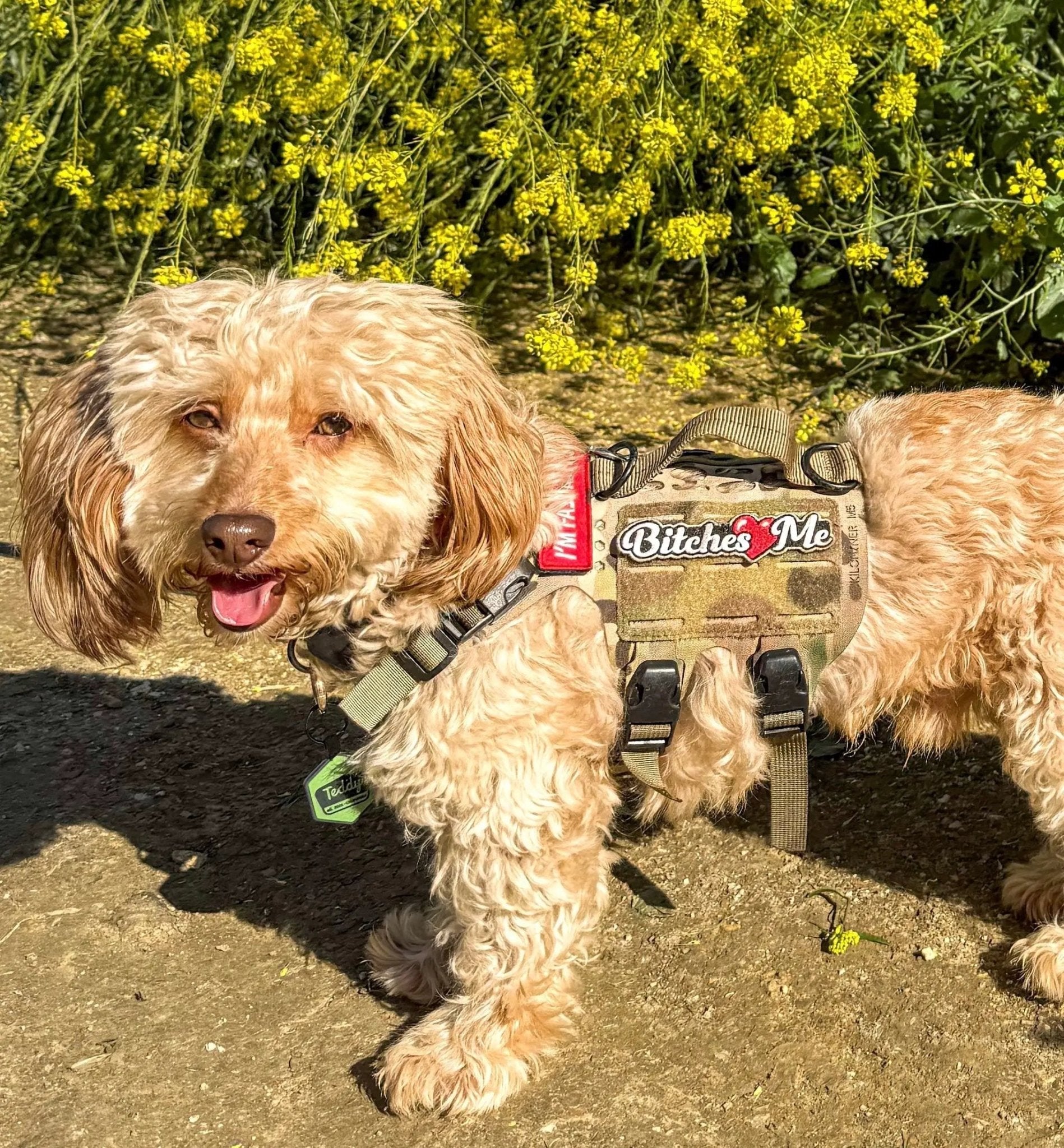 Men's Bitches Love Me Morale Patch With Hook Fastener Backing Tactical Velcro Vest And Harness Option by kiloninerpets