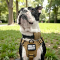 Load image into Gallery viewer, Small But Mighty Embroidered Tactical Morale Patch Two By One And A Half Inch Vests And Harnesses With Hook by kiloninerpets
