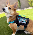 Carica l'immagine nel visualizzatore della galleria, Low Rider Embroidered Morale Patch Four Inches Wide Two Inches Tall For Tactical Vests And Harness Hook Fastener Backing by kiloninerpets
