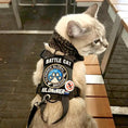 Carica l'immagine nel visualizzatore della galleria, K9R M1 Lightspeed Cat Harness With Minimalist Chest Plate Made USA by kiloninerpets
