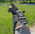 Carica l'immagine nel visualizzatore della galleria, K9R M1 Lightspeed Cat Harness With Minimalist Chest Plate Made USA by kiloninerpets
