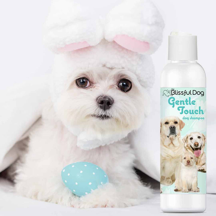 Gentle Touch Dog Shampoo and Soap, view 3