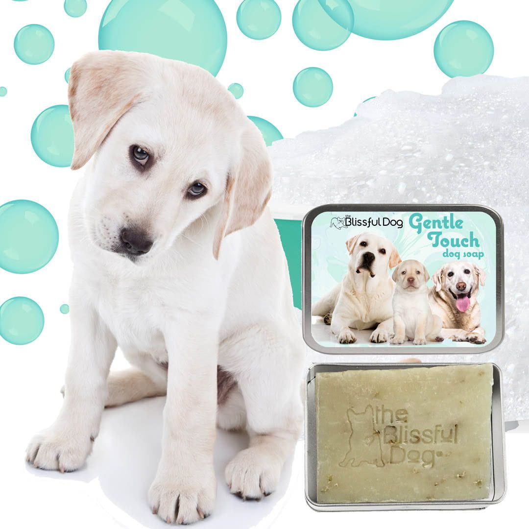 Gentle Touch Dog Shampoo and Soap, view 5