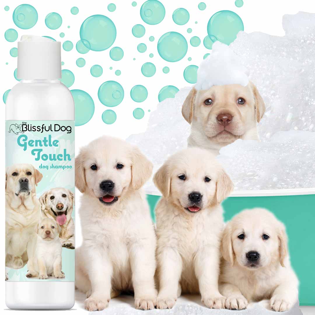 Gentle Touch Dog Shampoo and Soap, view 2