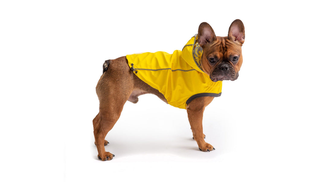 GF Pet Reversible Elasto-Fit Raincoat, Yellow