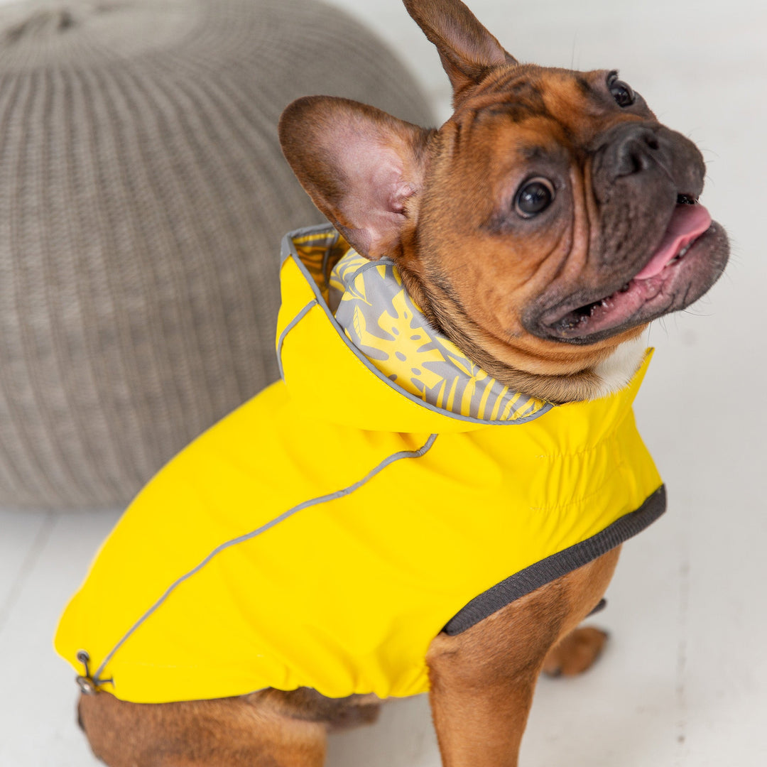 GF Pet Reversible Elasto-Fit Raincoat, Yellow